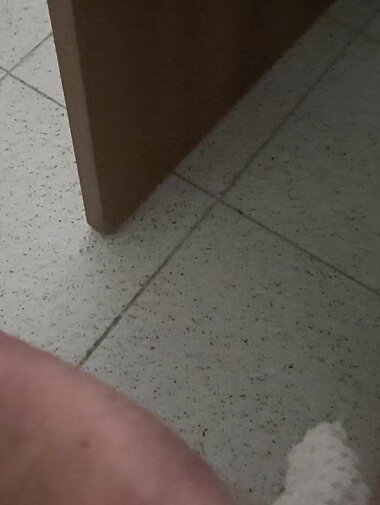 amateur gay
