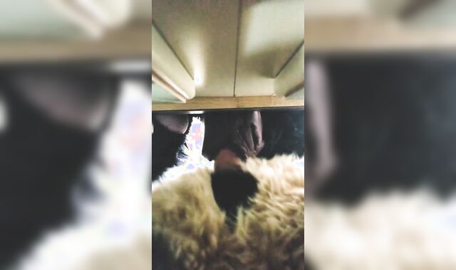 Sucario Pumps Dukes Muzzle Utter of Red-Hot Jizm