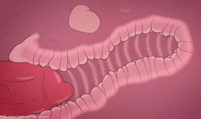 FLOOR nineteen Wooly Faggot Toon