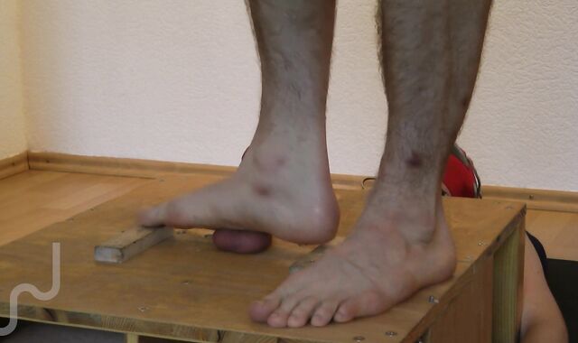 1 hour testicles stomping (stomp cell) with sneakers, shoes, barefeet, & jizz