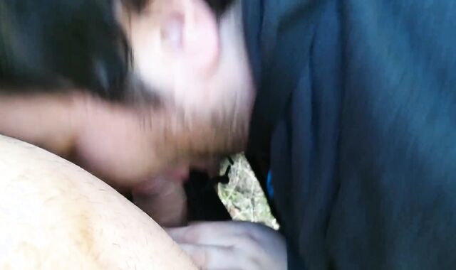 Baiser et sucer dans la nature entre obese