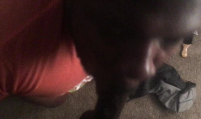 Morning Testicle Tonic