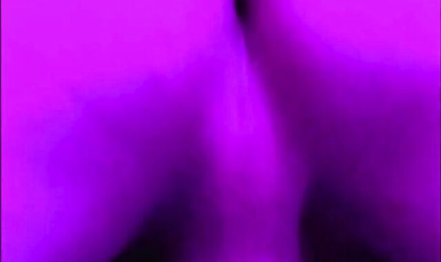 J the yeen rails Sucario the husky all over the guest bedroom