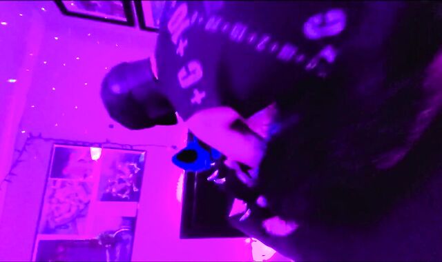 J the yeen rails Sucario the husky all over the guest bedroom