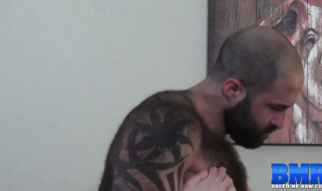 BREEDMERAW Tatted Fur Adorned Atlas Grant Humid Breeds Gabriel Divo