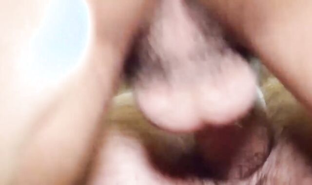 moist Plowers From Mexico. Part XXV