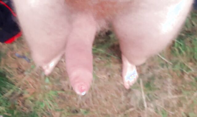 Straight was recorded on camera as he accidentally found a car with a faux fuck-stick in the forest and starte