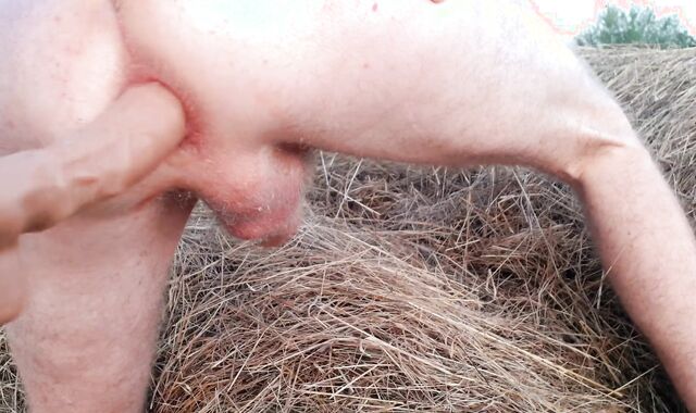 In a haystack, acquaintance boy screws his lollipop-wringing fuckhole with a good-sized fake-chisel