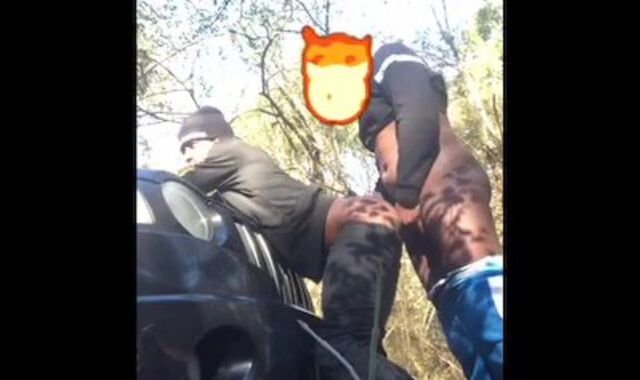 Public have joy in 50 degree weather