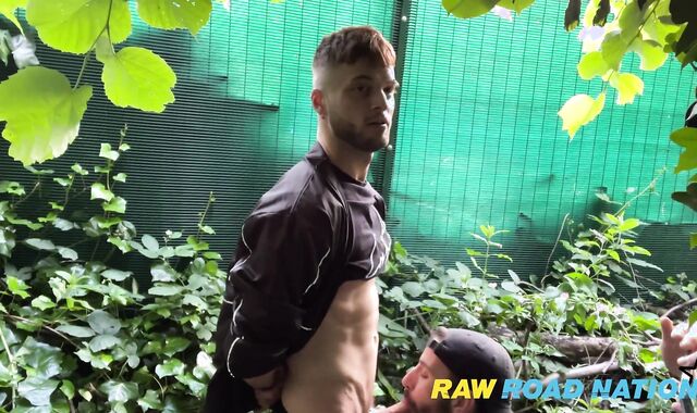 DAYTIME BB RIP UP-STICK IN THE PARK