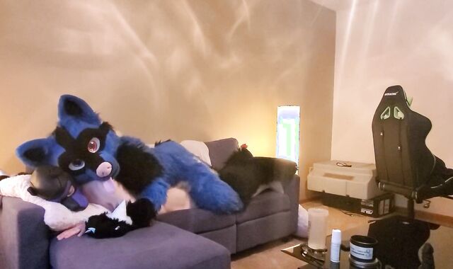 Sucario breed a superb puppy