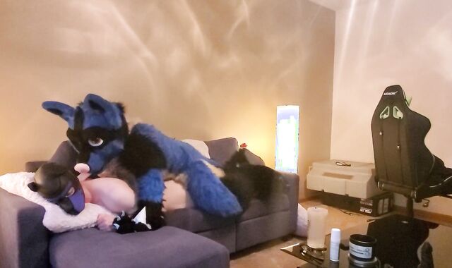 Sucario breed a superb puppy