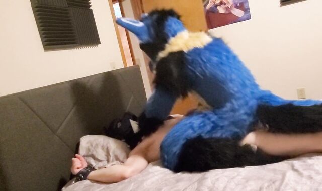 Sucario breed a superb puppy