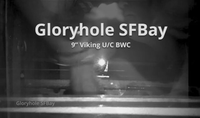 GHSFBAY: 9inch Viking u/c BWC (double breeds)