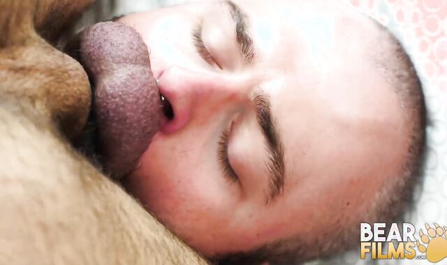 BEARFILMS Hairy Atlas Grant Barebacks Enormous Fur Covered Boy Dax Librastic