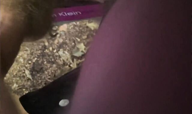 Cruising London Hampstead park