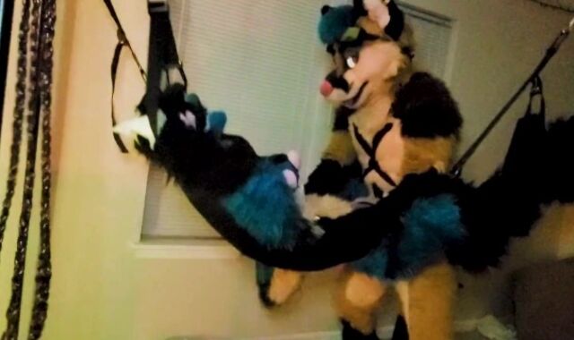 Xneo breed Sucario's ass sans a rubber in a fuck-a-thon swing