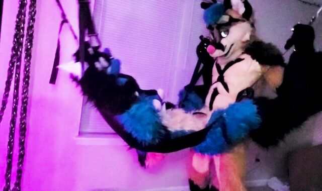 Xneo breed Sucario's ass sans a rubber in a fuck-a-thon swing