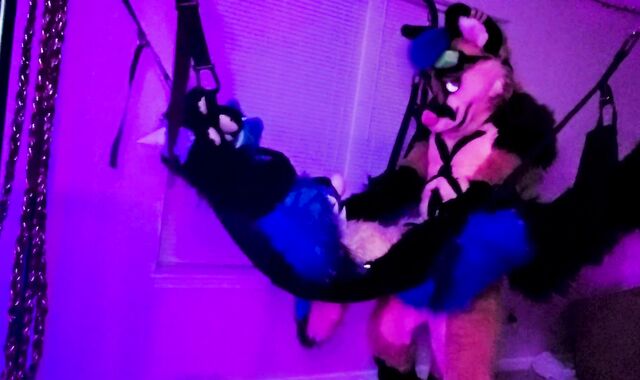 Xneo breed Sucario's ass sans a rubber in a fuck-a-thon swing