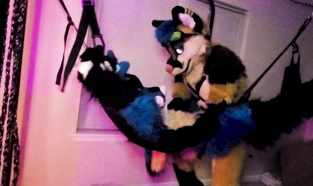 Xneo breed Sucario's ass sans a rubber in a fuck-a-thon swing