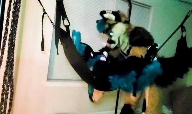 Xneo breed Sucario's ass sans a rubber in a fuck-a-thon swing