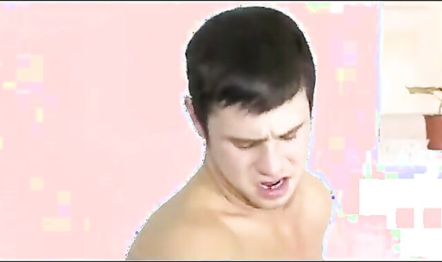 BreednSeed Seeding paramours