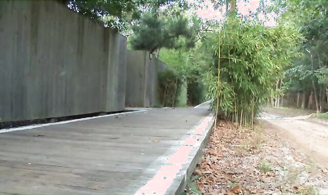 Comeback To trouser snake-Rack