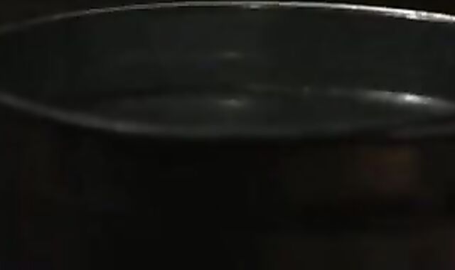 uber-cute Gauze thraldom Have Fun