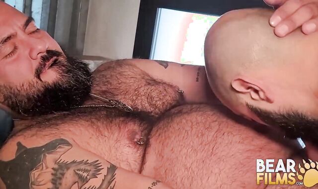 BEARFILMS Compilation Of Cubs Relentlessly Breeding Moist