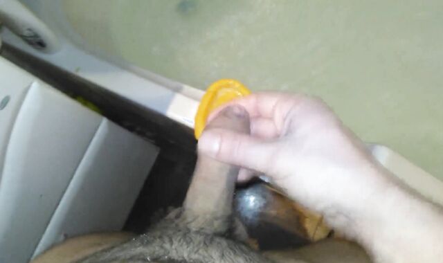 I fed nut nectar to a rubber plaything