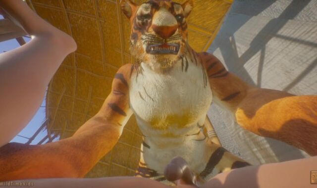 Tiger Wool Adorned Knotting Gay Teenager Fellow POINT OF SIGHT