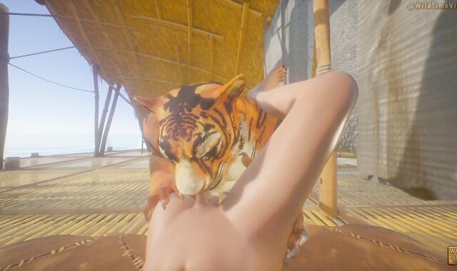 Tiger Wool Adorned Knotting Gay Teenager Fellow POINT OF SIGHT