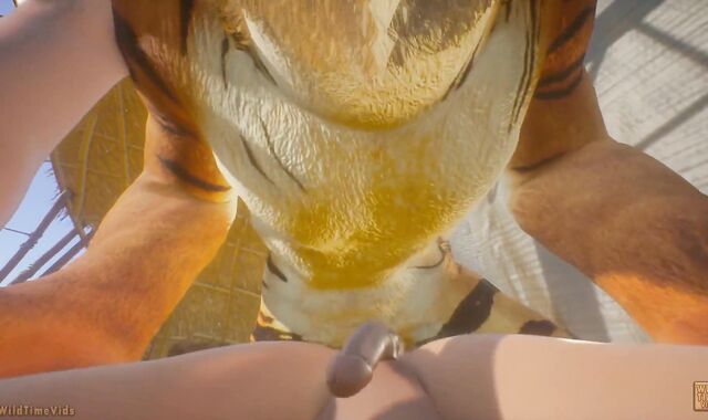 Tiger Wool Adorned Knotting Gay Teenager Fellow POINT OF SIGHT