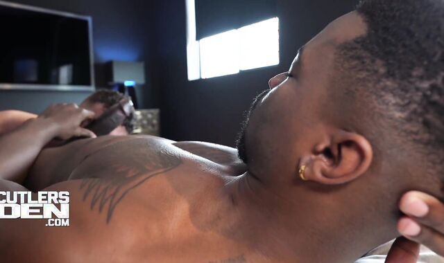 Supah Hung Sin City Papi Breeds Lucca Mazzi for Cutler's Den