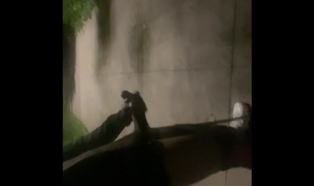 Late night ramble with the