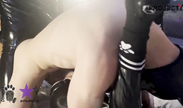 Love Glove pup got used by other pups at Folsom