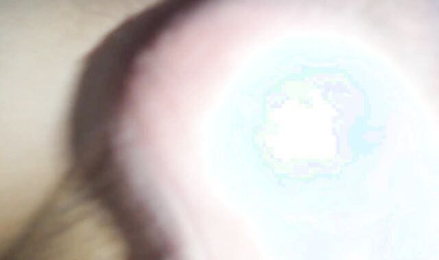 Me penetra mi por el culo