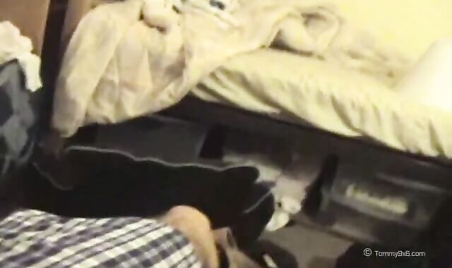 College School Chick in Loose Boxers Jacks Off With Fleshjack