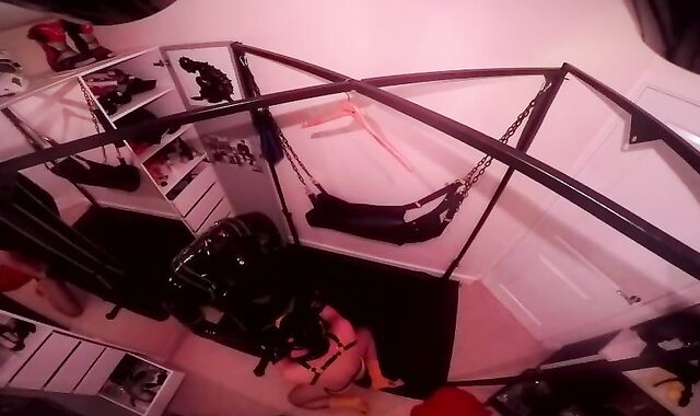 Condom pup tearing up another pup in the sling