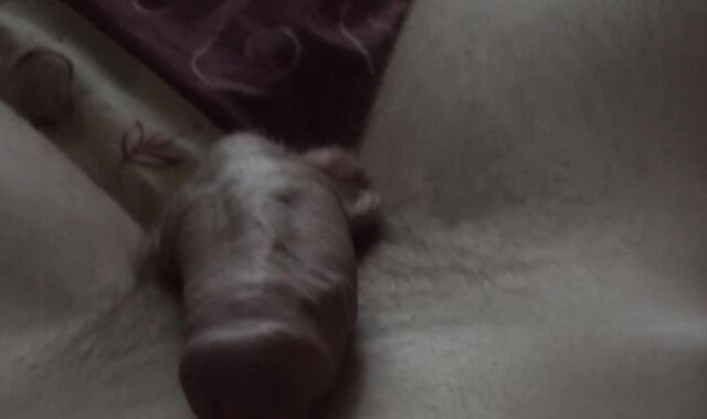 Stellar Risky Morning Bang-Out in front of Neighbours - Enormous Pecker Plan