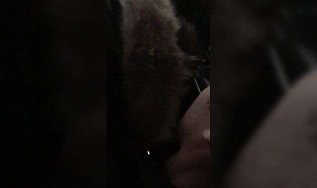 Joey Mills Inhales my Dude Meat in the Car