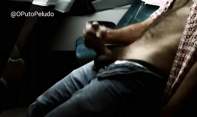 Arm Job and spunking on the bus