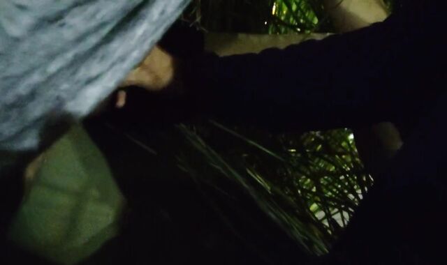 stepuncle jerk off & fellates his stepnephew in front of the avenue