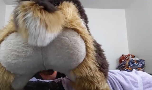 Not Giving That Sex-Positive Fox a Break