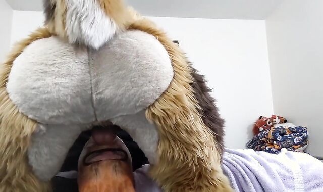 Not Giving That Sex-Positive Fox a Break