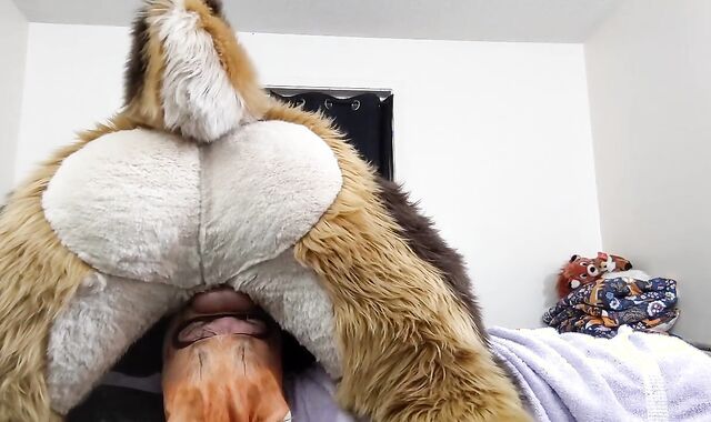 Not Giving That Sex-Positive Fox a Break