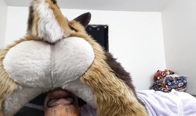 Not Giving That Sex-Positive Fox a Break