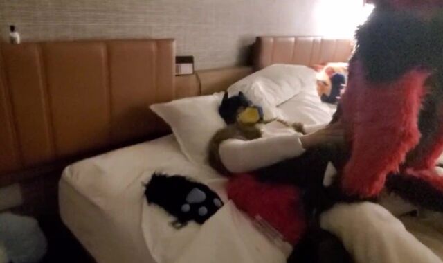 Sucario Breeds Luka Lucario x Lucario