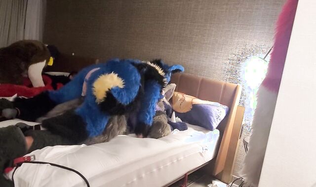 Sucario Breeds Luka Lucario x Lucario