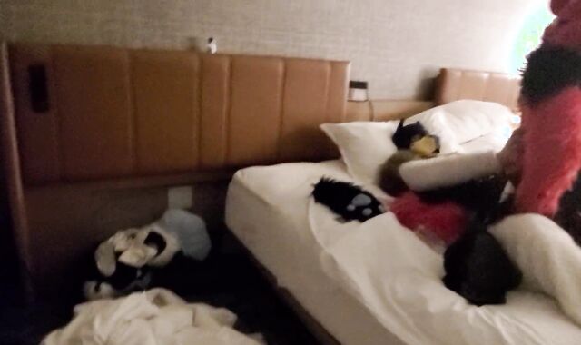 Sucario Breeds Luka Lucario x Lucario